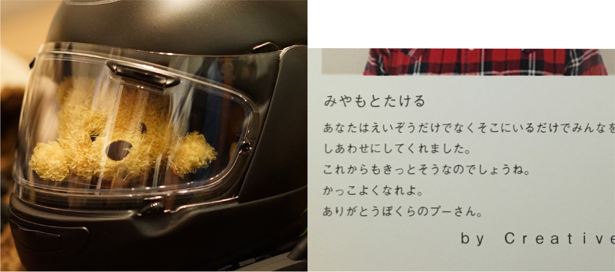 宮本 武瑠